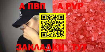 СК Тара