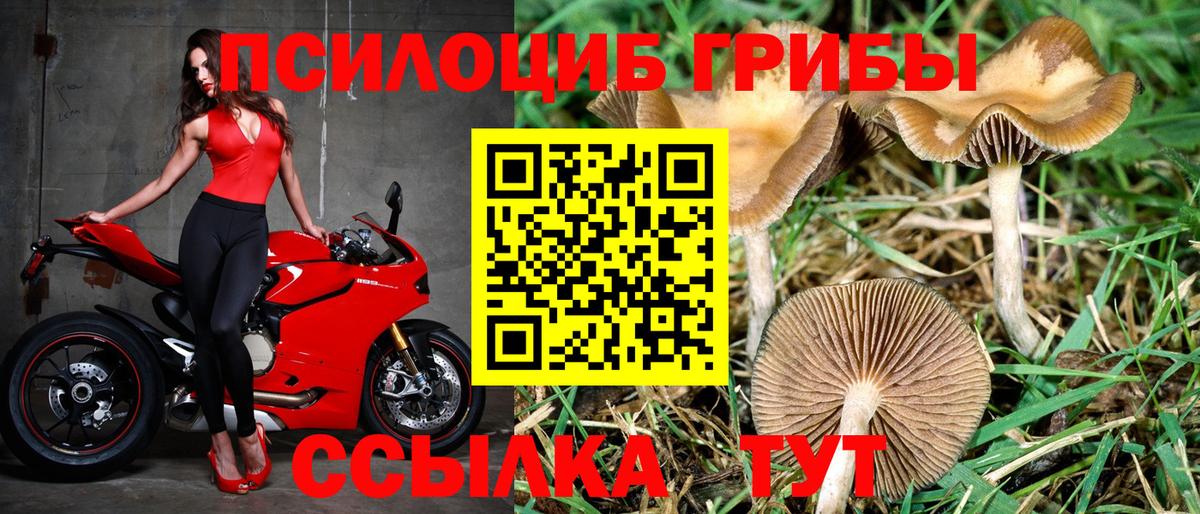 Псилоцибиновые грибы MAGIC MUSHROOMS  Вход с VPN  Александров 